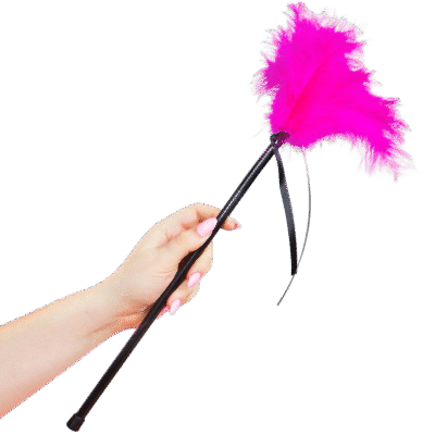 SECRETPLAY - PLUMERO PLUMAS ROSA 40 CM