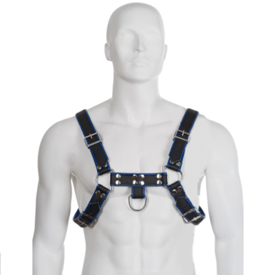 9144 LEATHER BODY - ARNÉS CUERO AZUL Y NEGRO CHEST BULLDOG